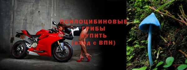 скорость Белокуриха
