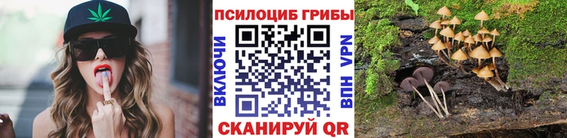 Галлюциногенные грибы Psilocybe  Борисоглебск 